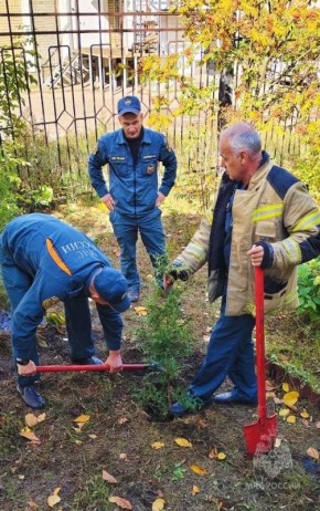 Чтобы было красиво. Благородные туи станут украшением территории 65 пожарно-спасательной части в Кулебаках