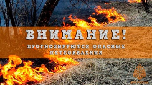 Сохранится высокая (4 класс) пожароопасность лесов и торфяников в большинстве районов по Нижегородской области и г. Н.Новгороду в период с 3 по 7 октября
